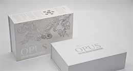 CAPDASE公司與我司合作，稱贊寶興隆包裝盒精美